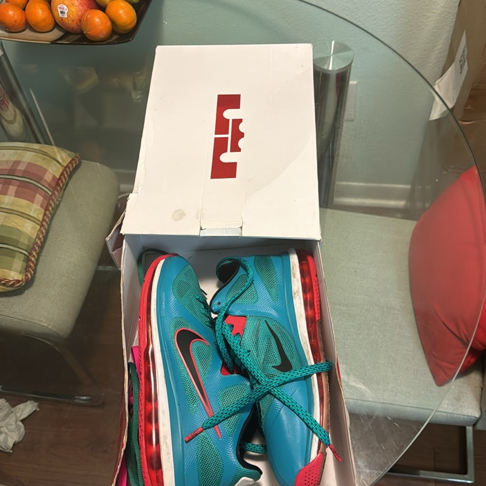 Lebron Lebron ix low rare wore once